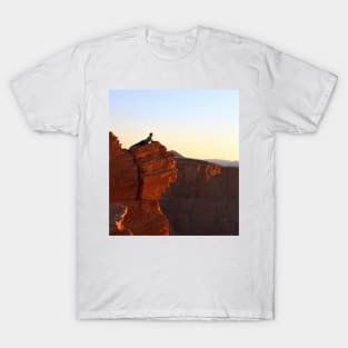 Arizona, Antelope Canyon T-Shirt